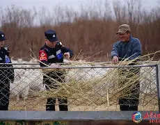 多米体育官网-天津飞船击败内蒙古猎手队,取得胜利了吗